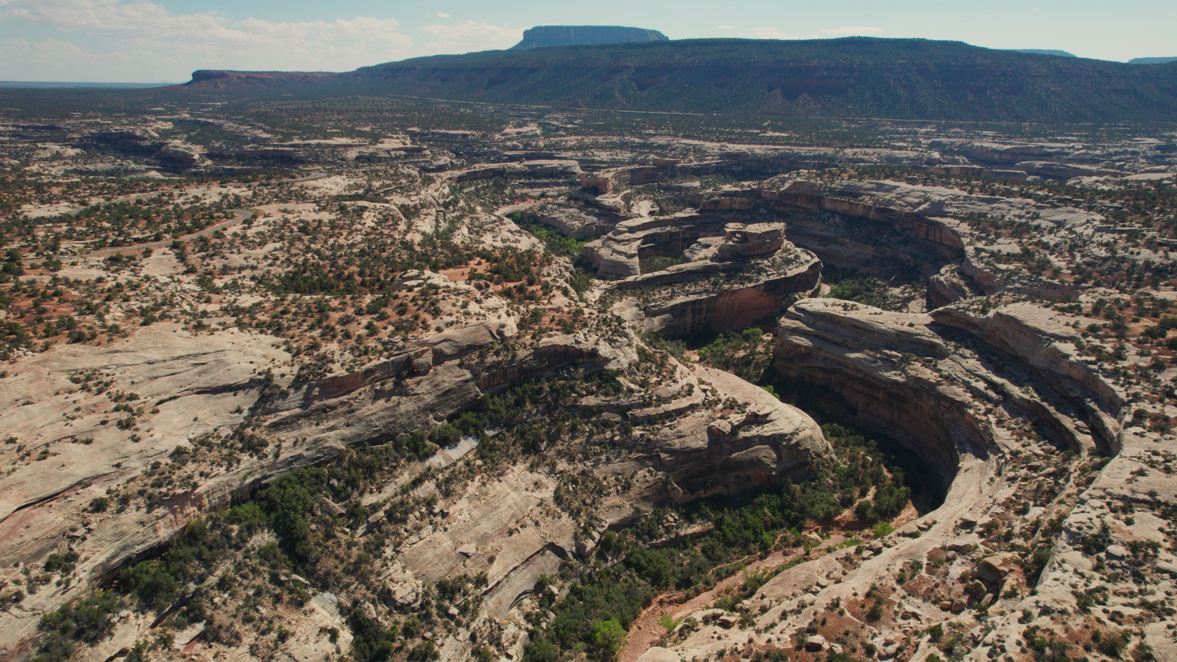 Sinuous River Bed